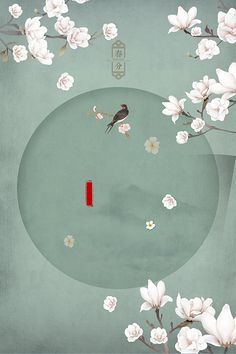 张津瑜 没毛